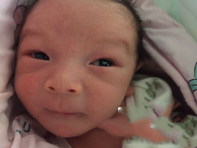 Ⱦɫ����λ����ɹ�ֲ������������̥