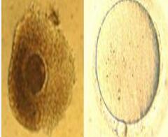 ���ݴ���